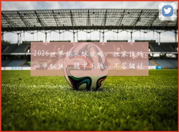 2026世界杯买球攻略，独家技巧，必中秘诀，稳中求胜，不容错过
