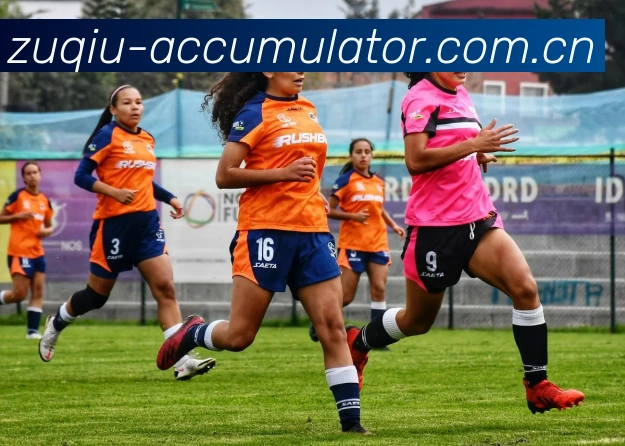 足球 accumulator 投注平台生态图